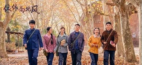 依依向北风,追寻自由的旅程